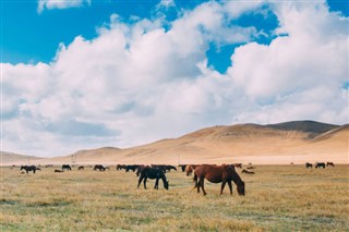 Mongolia