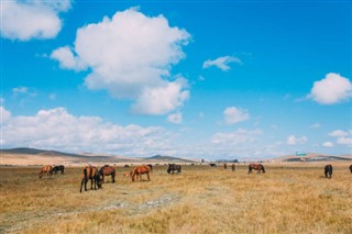 Монголија