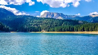 Црна