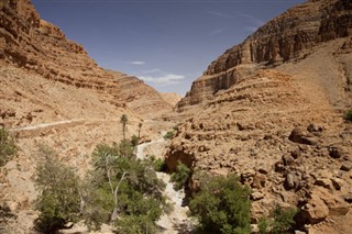 المغرب