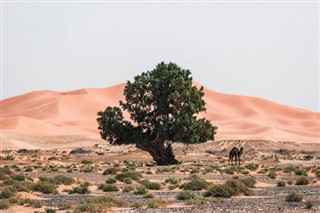 Marruecos