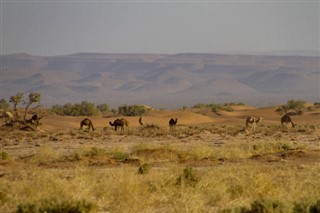 المغرب