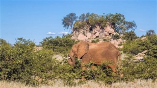 Moçambique