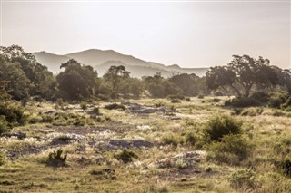 Mozambikas