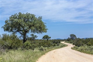 Mozambikas