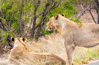 Moçambique