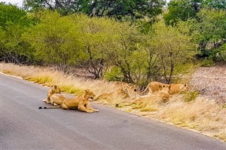 モザンビーク