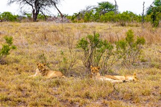 Moçambique