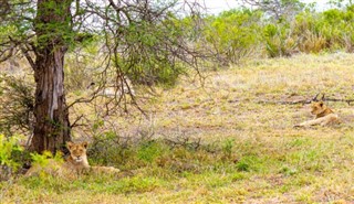 Mozambique