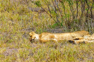 Moçambique