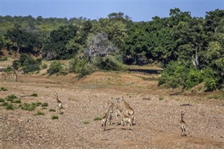 Mozambique