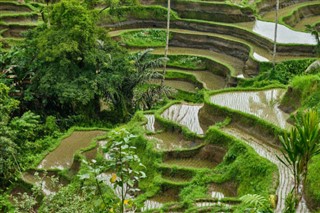 Myanmar