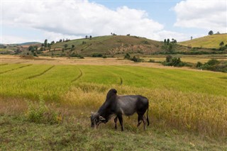 Myanmar