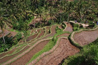 Myanmar