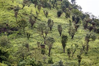 म्यांमार