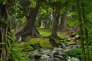 Myanmar