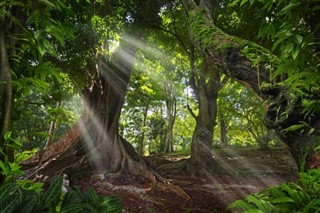 Myanmar