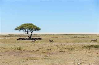 Namibia