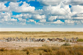 Namibia