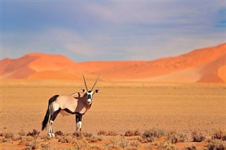 Namibie