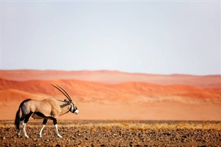 Namibië