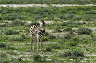 Namibia