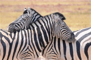 Namibia