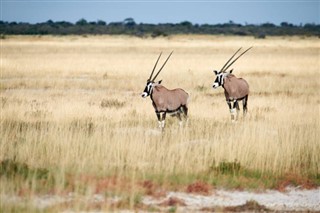 Namibia