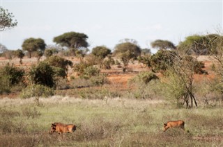 Namibia