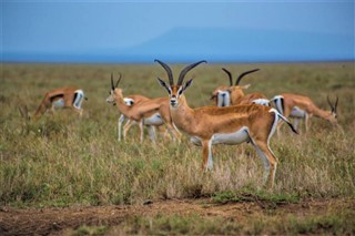 Namibia