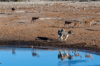 Namibie