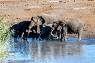 Namibia