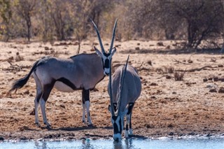 Namibie