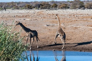 Namibia