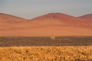 Namibië