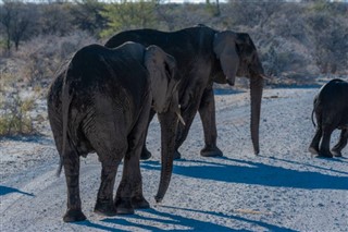 Namibië