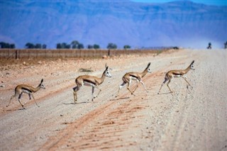 Namibia