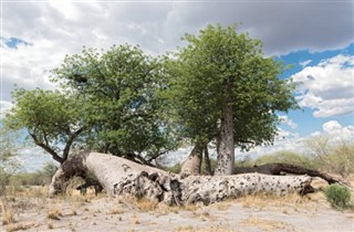 Namibia