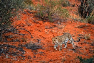 Namibia