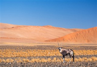 Namibia