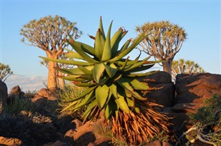 Namibia