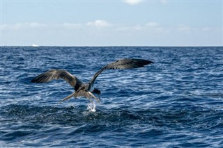 Nauru