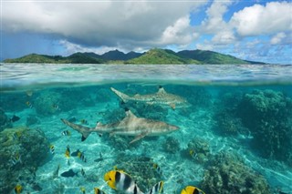 ナヴァッサ島