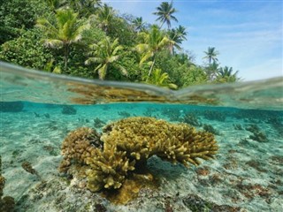 納瓦薩島