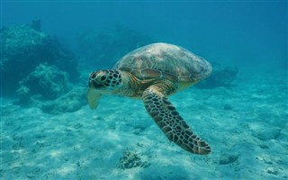 ナヴァッサ島