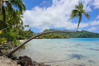 納瓦薩島