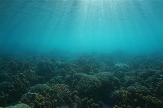 ナヴァッサ島