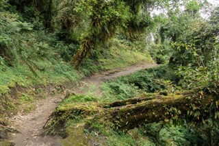 Nepal