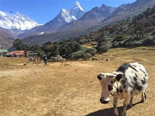 Nepal