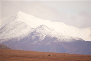 Nepal